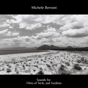 michele bertoni musicista